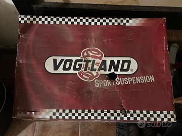 Molle per ribassamento sportivo