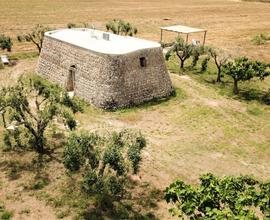 Salento trullo casa vacanze