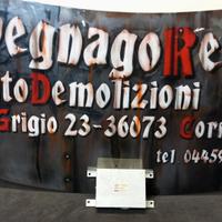 CENTRALINA SERVOSTERZO NSK FIAT 600 51706705