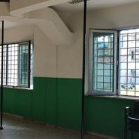  4 pali pole dance marca Apole