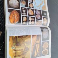 Enciclopedia La  Piccola Treccani 