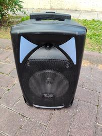 cassa bluetooth con microfono