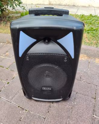 cassa bluetooth con microfono