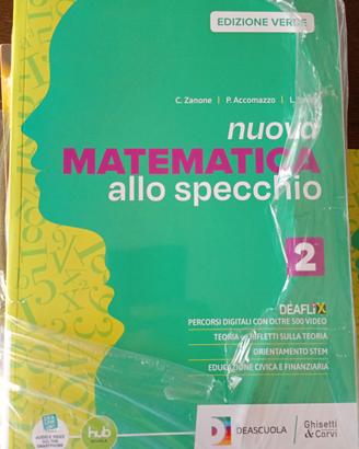 Nuova matematica allo specchio vol.2