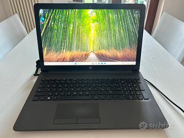 Notebook HP 255 G7 SSD Windows 11 Pro