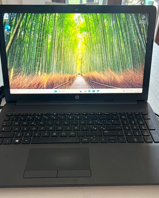 Notebook HP 255 G7 SSD Windows 11 Pro
