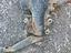 Immagine 2