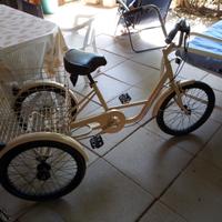 Bicicletta a tre ruote per adulti