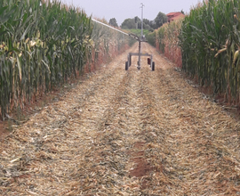 Terreno agricolo