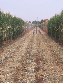 Terreno agricolo