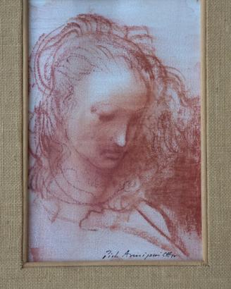 Matita sanguigna su carta 20*30