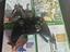 Immagine 2