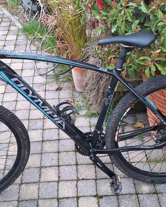 Mountain Bike Olympia Bull 29"