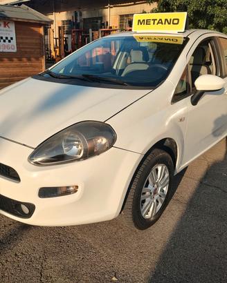 Fiat Punto 5P 1.4 METANO 70CV, OK NEOPATENTATI