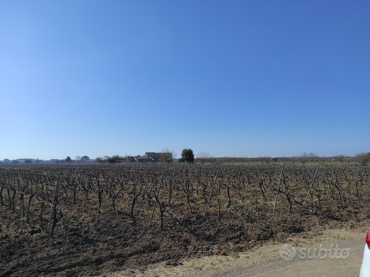 Terreno con vigneto - Vista 5