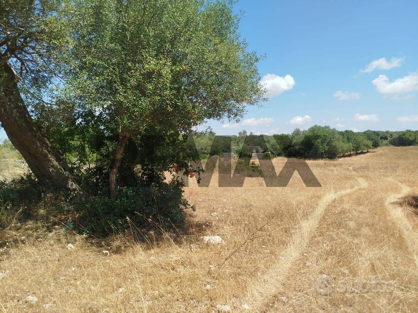 Terreno - Noto - Vista 4