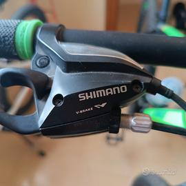 Bicicletta Mountain bike