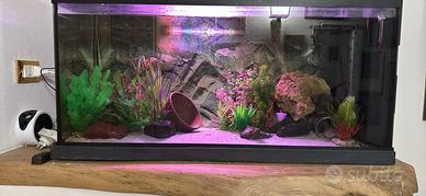 Acquario 