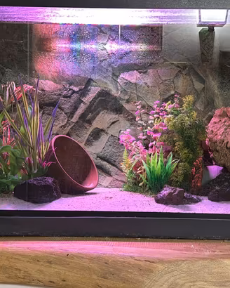 Acquario 