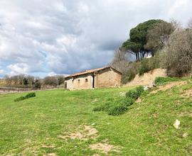 Terreno Agricolo Nepi [Cod. rif 3138859VCG]