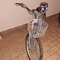 bici elettrica 