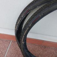 Pneumatici bici