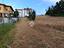 Immagine 21