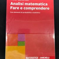 Analisi matematica. Fare e comprendere