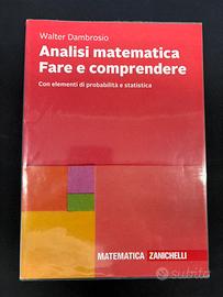 Analisi matematica. Fare e comprendere
