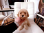 Immagine 27