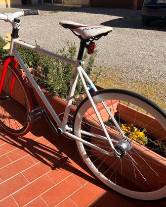 Bici da uomo - fixed