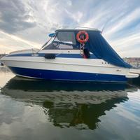 Ilver dorado permuto