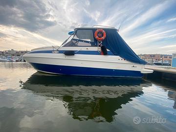 Ilver dorado permuto