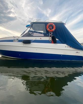 Ilver dorado permuto