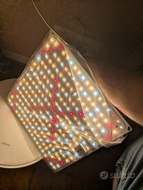 lampada Growing Led 100w 