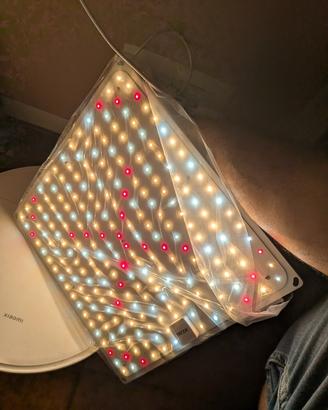 lampada Growing Led 100w 