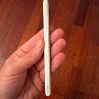 Apple Pencil (custodia in vera pelle inclusa)