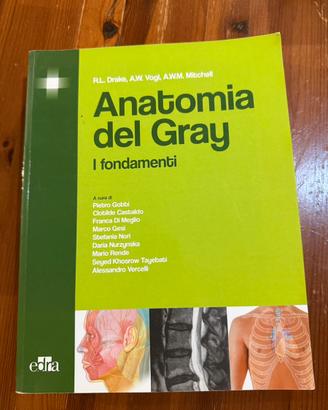 Anatomia del Gray: i fondamenti