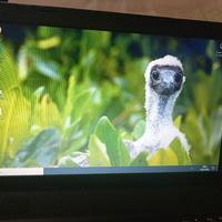 computer lenovo 