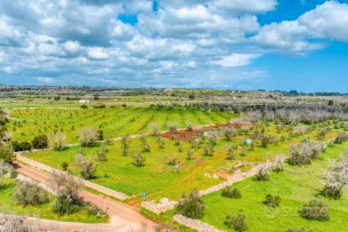 Progetto villa con piscina Salento zona Pescoluse - Vista 2