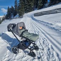 Bugaboo camaleon plus