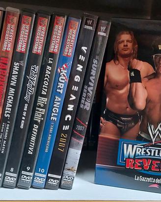 Lotto dvd WWE wrestling 
