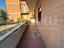 Immagine 8