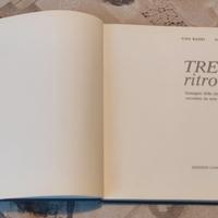 Treviso Ritrovata Canova 1979 foto città