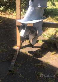 nauti