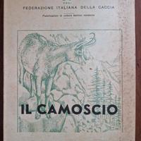 Caccia, vecchio libro