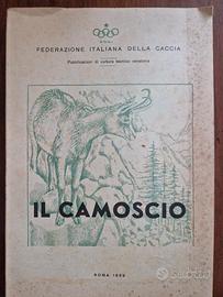 Caccia, vecchio libro