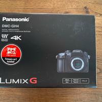 Panasonic GH4 + Lumix G 42,5 mm f/1.7 asf. O.I.S.