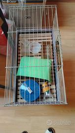 gabbia x criceti
