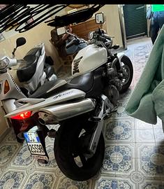 Hornet 600